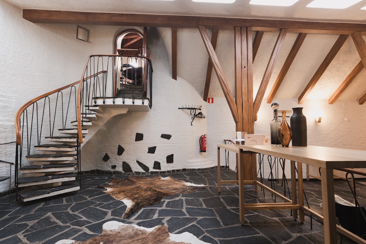 Home Hotel Jugend, dog-friendly hotel, photo 5