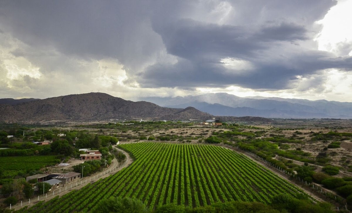 Finca Don Julio