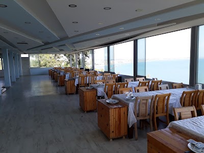 filika balık - Restoran