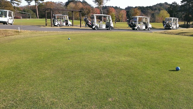 Kikyogaoka Golf Course - Photo 9