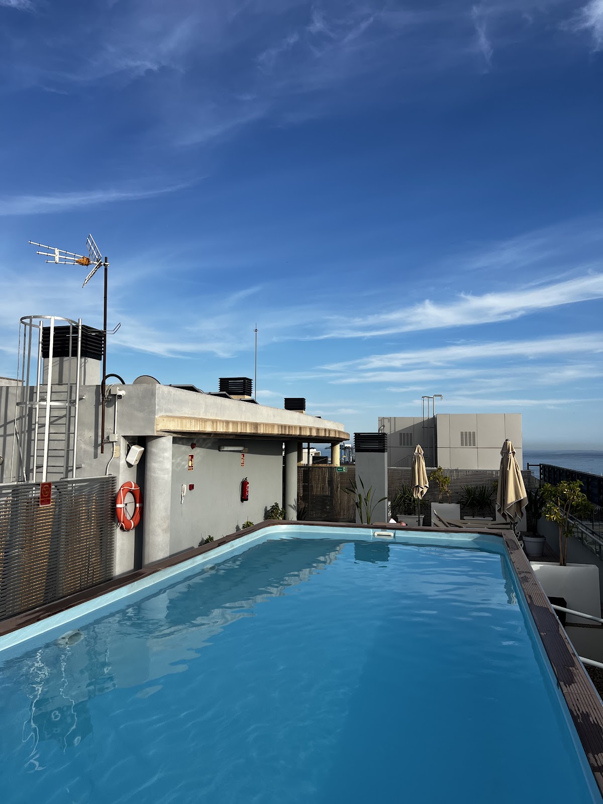 NH Alicante, dog-friendly hotel, photo 2