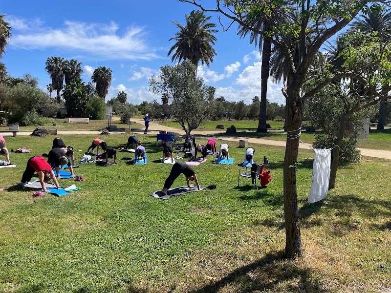 A.S.D. L'altra Palestra Fitness & Fly Zone