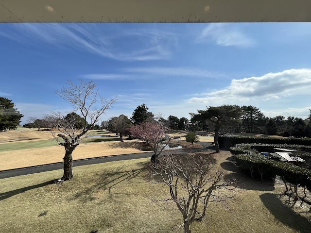 Southern Cross Resort - Photo 10