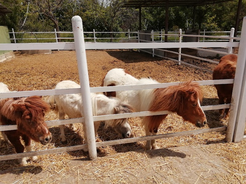 Granja Cerro Tablado