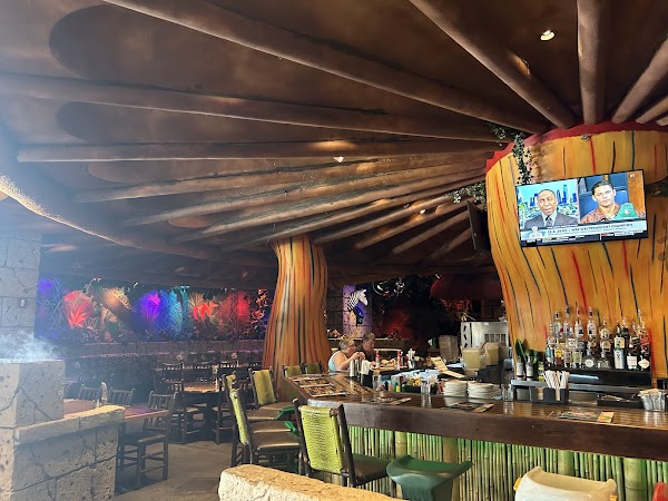 Photo of Rainforest Cafe