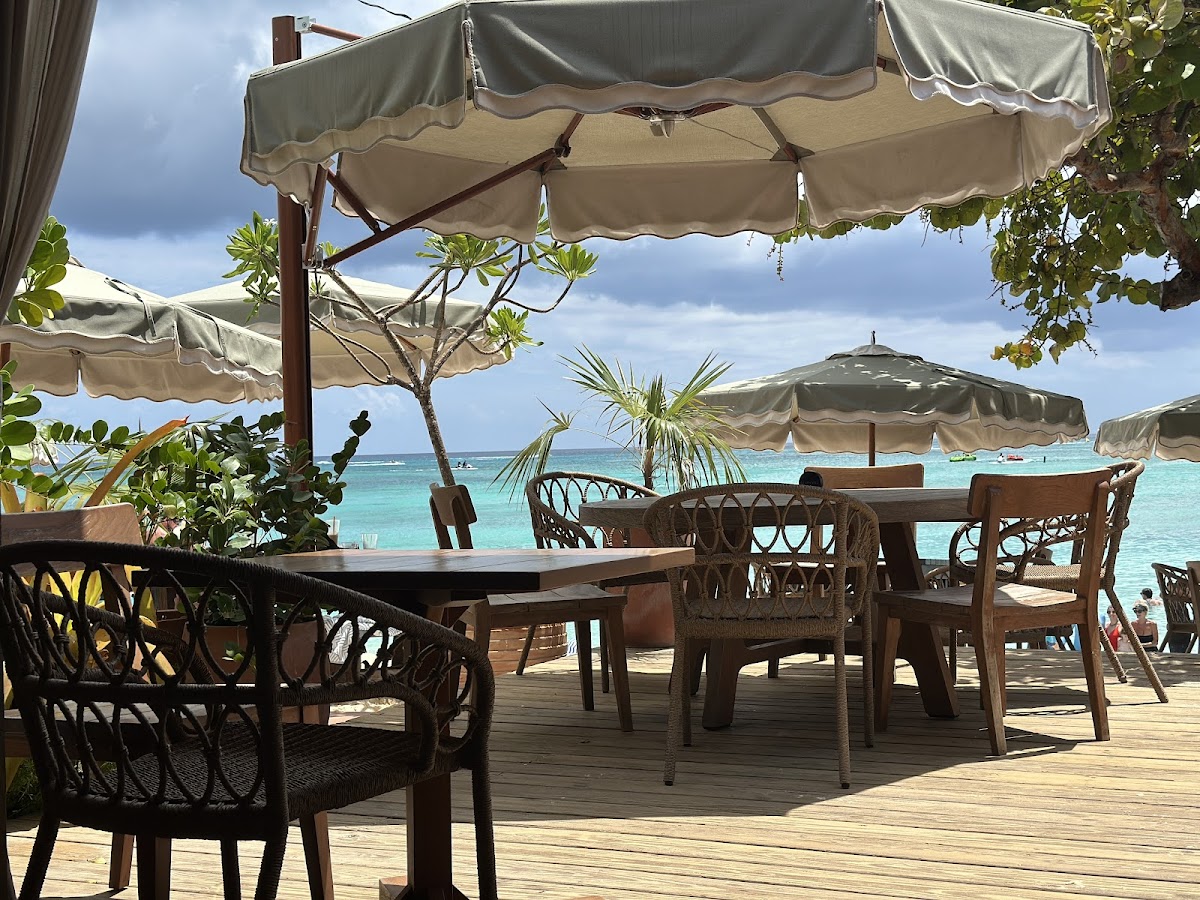 Bonny Moon Beach Club in cayman-islands