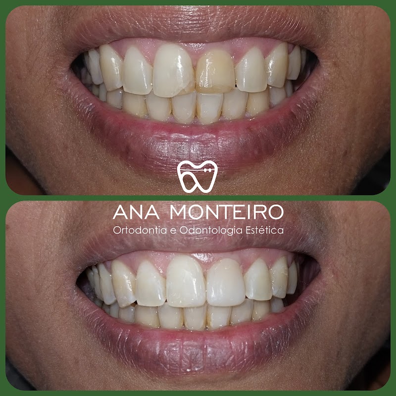 Dra Ana Monteiro - foto 4