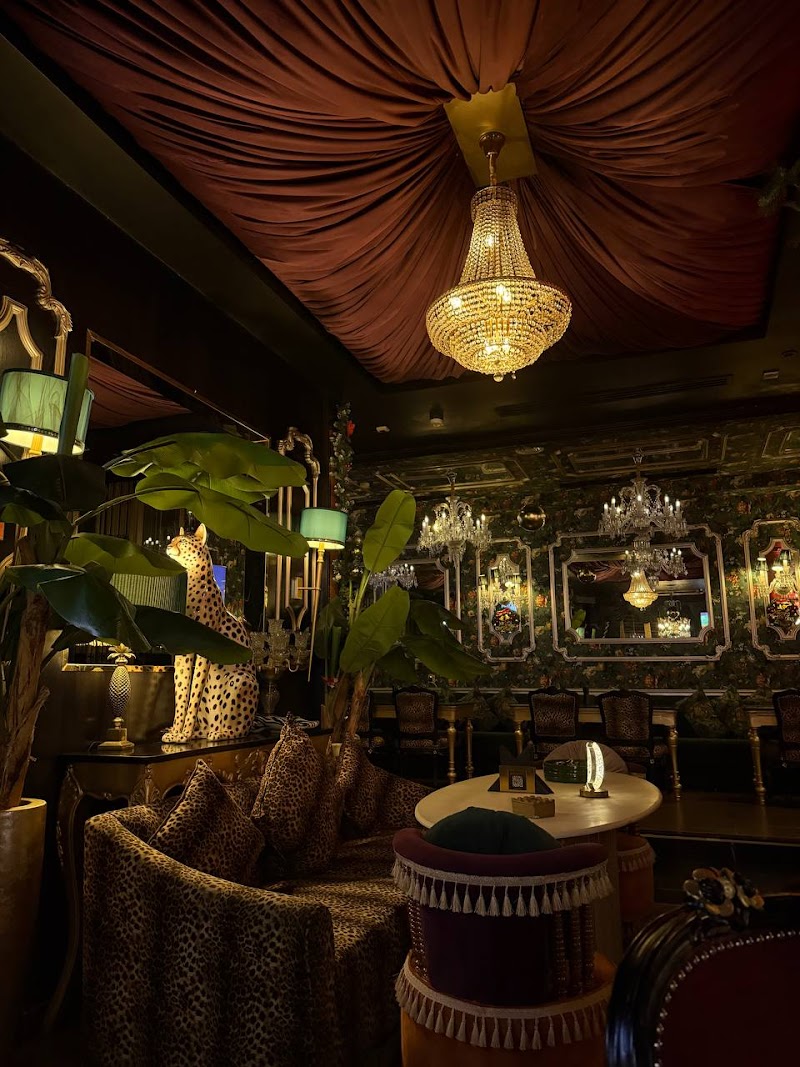 Yara Jumeirah - Best Shisha Lounge in Dubai photo 6