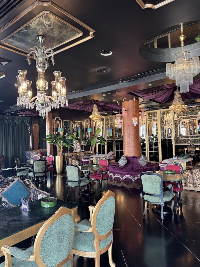 Yara Jumeirah - Best Shisha Lounge in Dubai photo 2