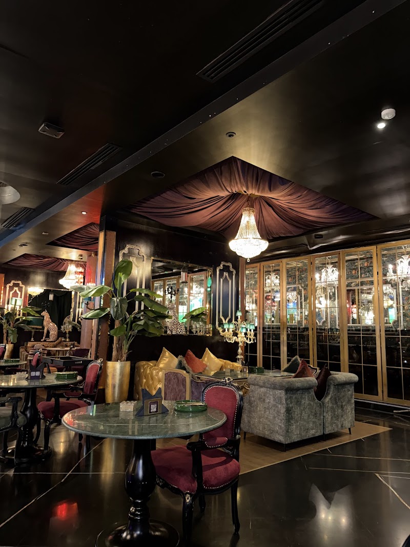 Yara Jumeirah - Best Shisha Lounge in Dubai photo 5