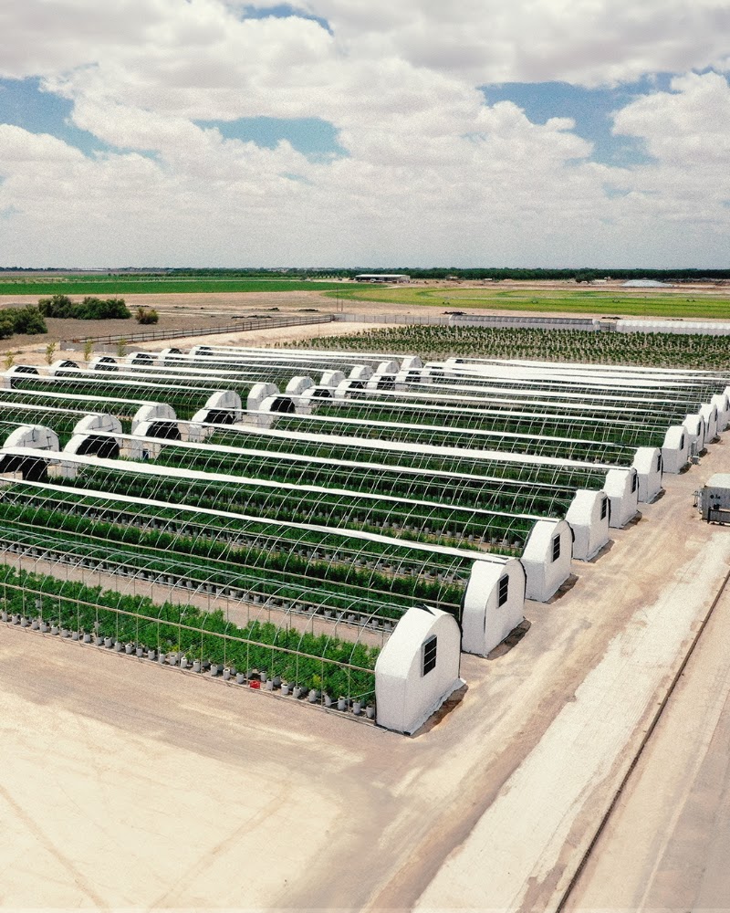 Video tour of Pecos Valley Production - Dispensary & Wholesale retail environment