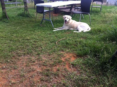 פנסיון המושבה