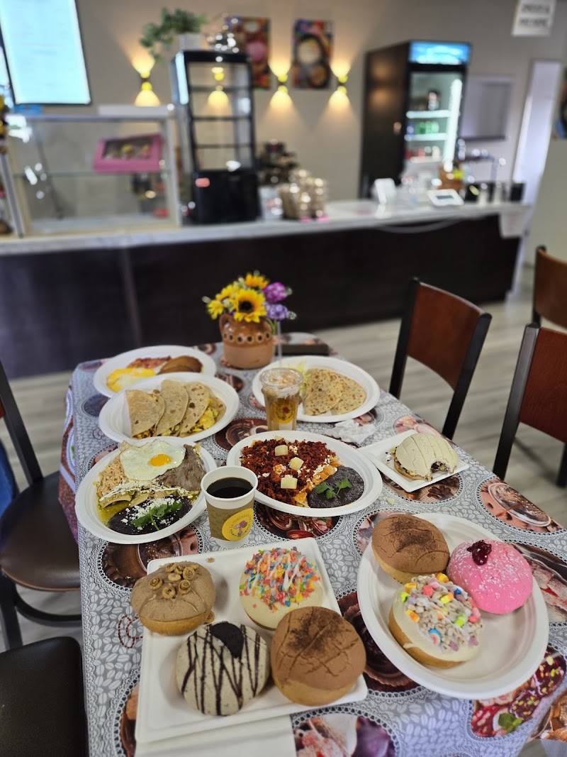 La Concheria Cafe photo 2