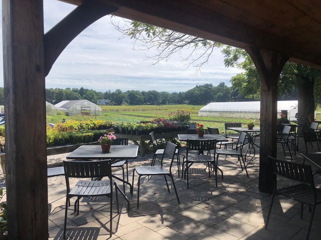 The Farmer’s Porch at Tangerini’s Farm