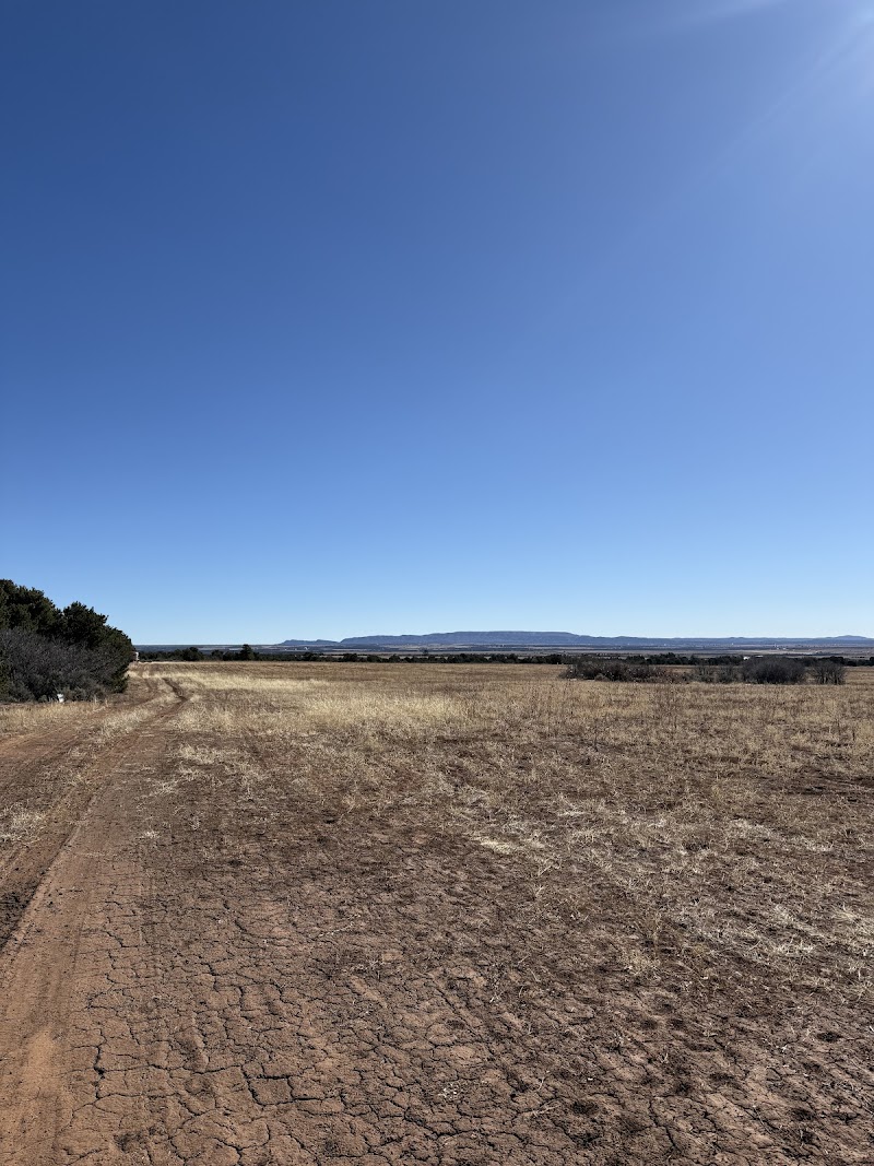 Mountain High Ranch - Photo 5