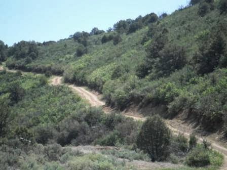 Mountain High Ranch - Photo 3
