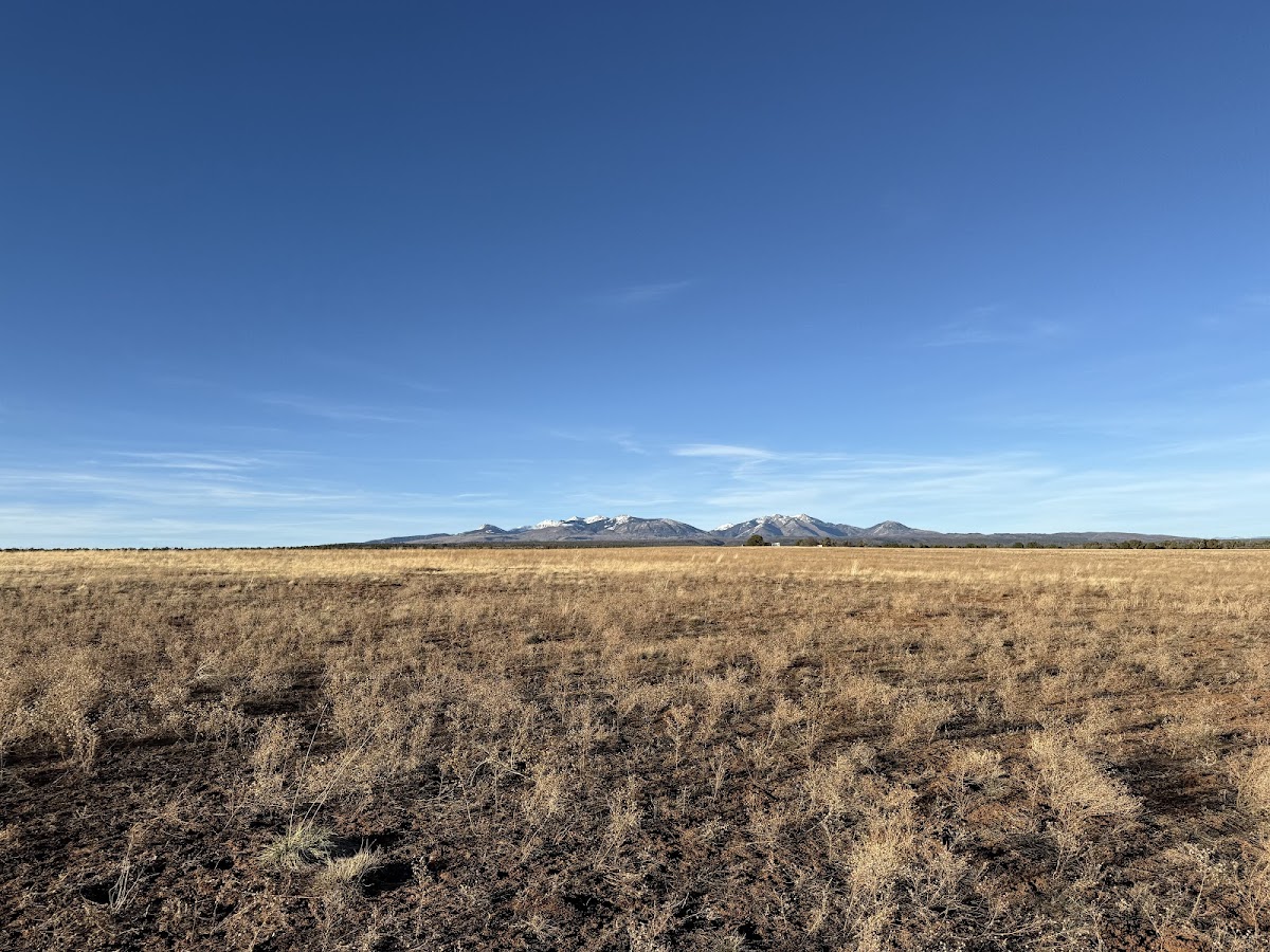 Mountain High Ranch