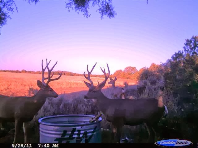 Mountain High Ranch - Photo 2