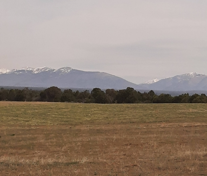 Mountain High Ranch - Photo 4