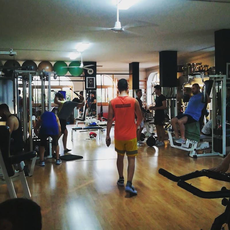 AirGym