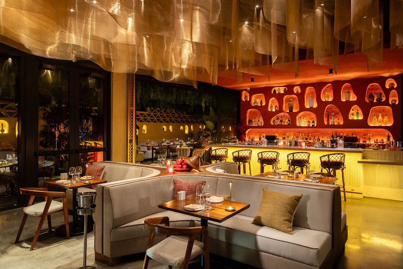 Felina Miami photo 1