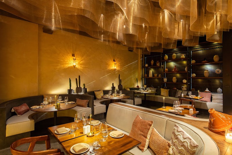 Felina Miami photo 6