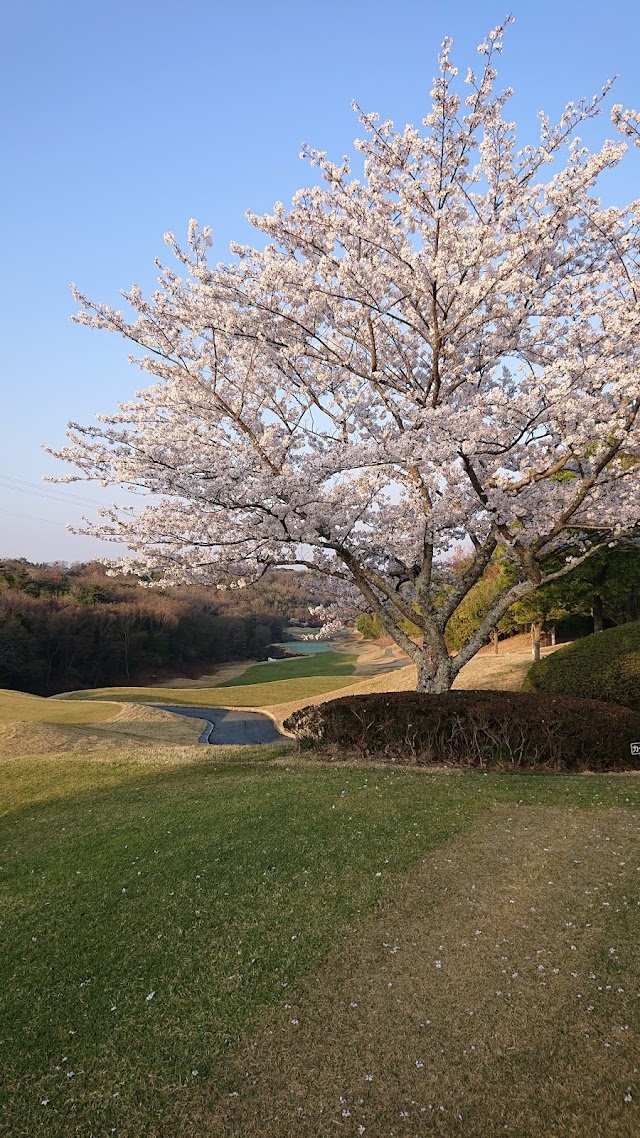 Cherry Hills Golf Club - Photo 4