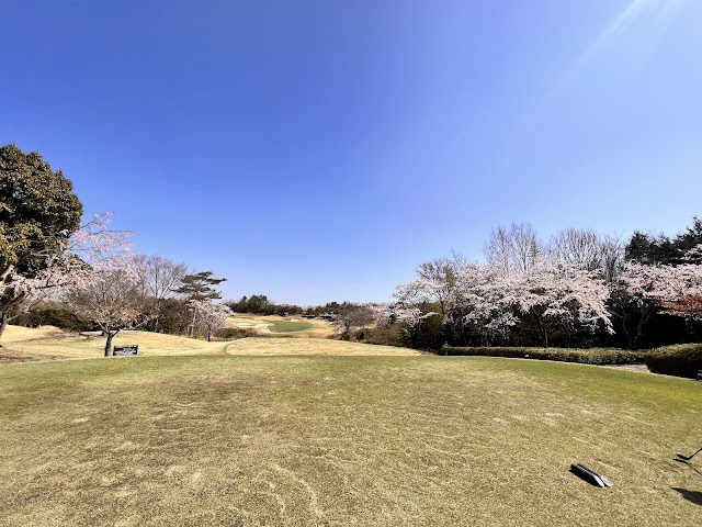 Cherry Hills Golf Club - Photo 6