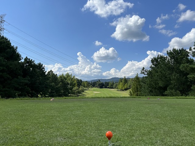 Shin-Osaka Golf Club - Photo 5