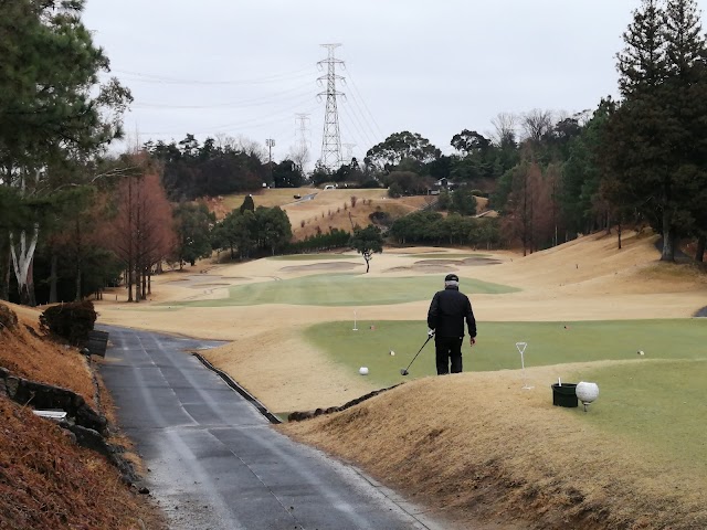 Shin-Osaka Golf Club - Photo 9