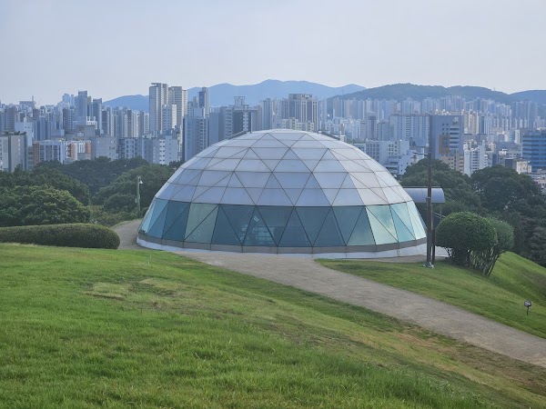 Cherry Blossom 🌸 37