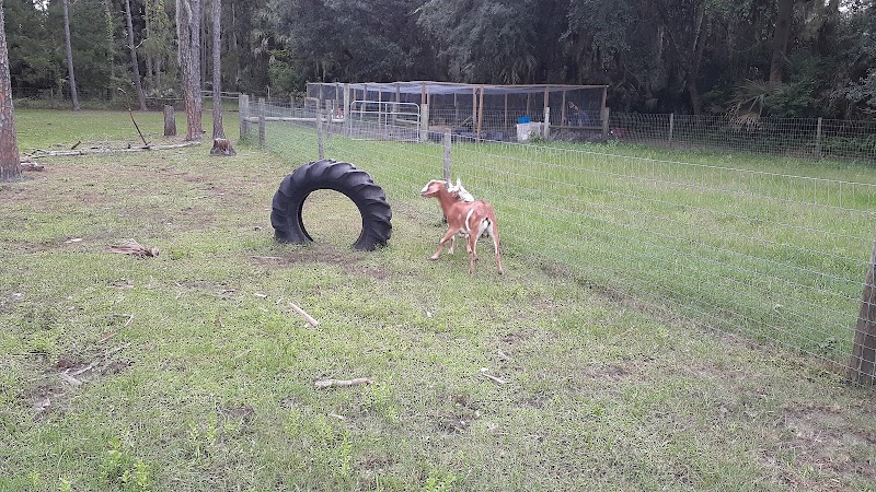 Green Acres Farm Oviedo (By Appointment Only) - Photo 2