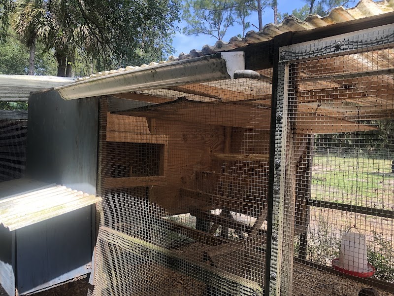 Green Acres Farm Oviedo (By Appointment Only) - Photo 3