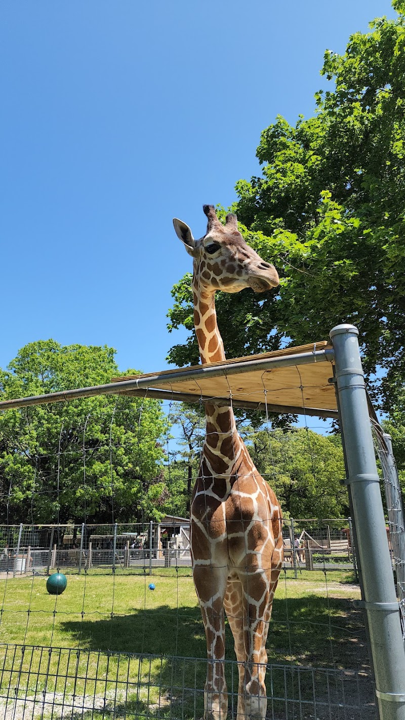 Long Island Game Farm Wildlife Park & Children's Zoo - Photo 1