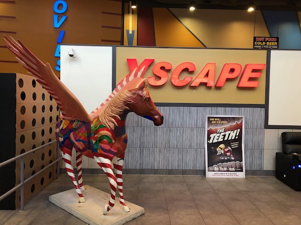 Photo by Jason Johnson