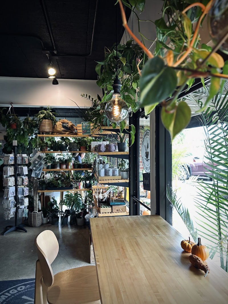 Cafe Conmigo - Wexford photo 3