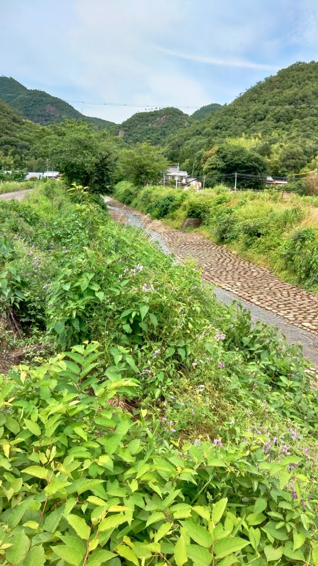 Nagaragawa Country Club - Photo 5