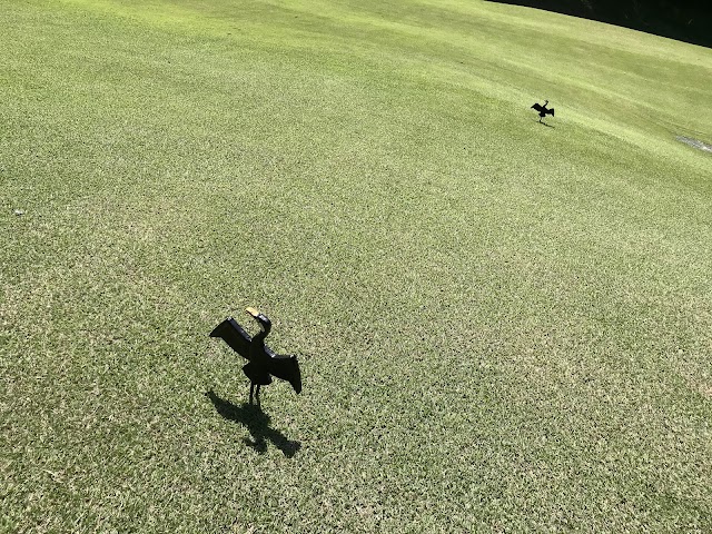 Nagaragawa Country Club - Photo 4
