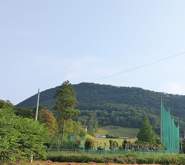 Nagaragawa Country Club - Photo 8