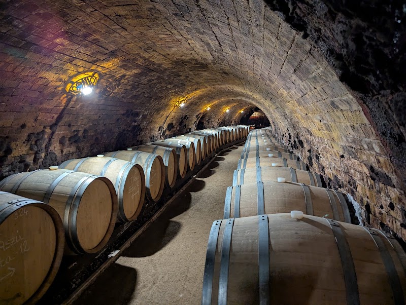 Oremus Winery photo 7