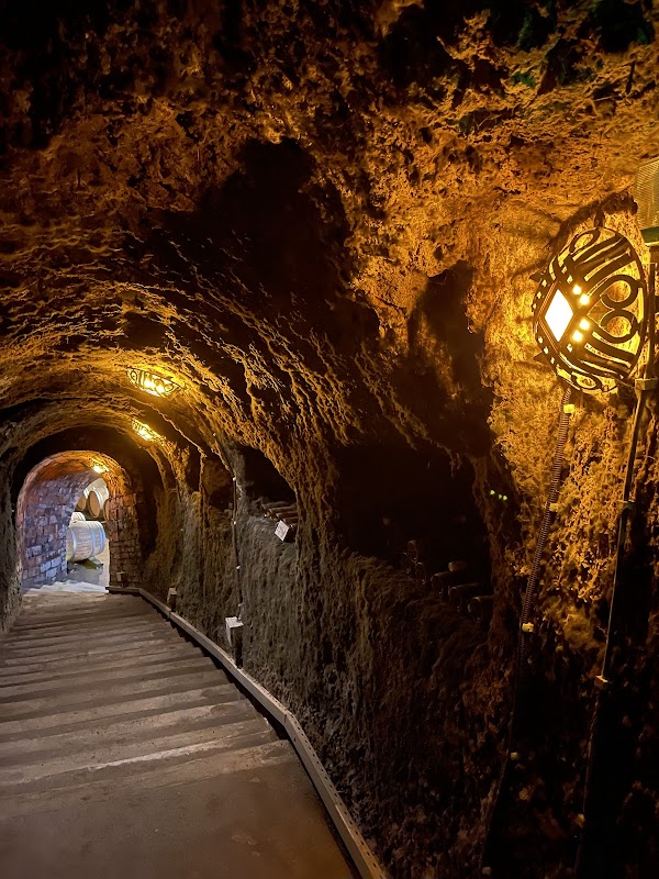 Oremus Winery photo 5