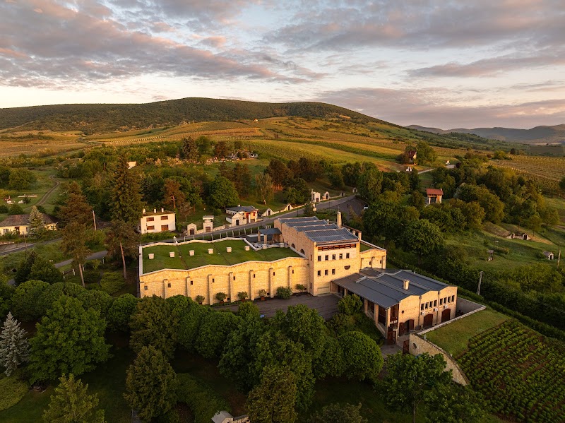 Oremus Winery photo 1