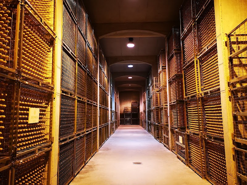 Oremus Winery photo 3