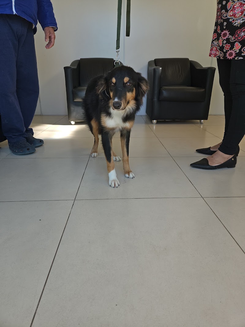 Foto de Equipe Vet