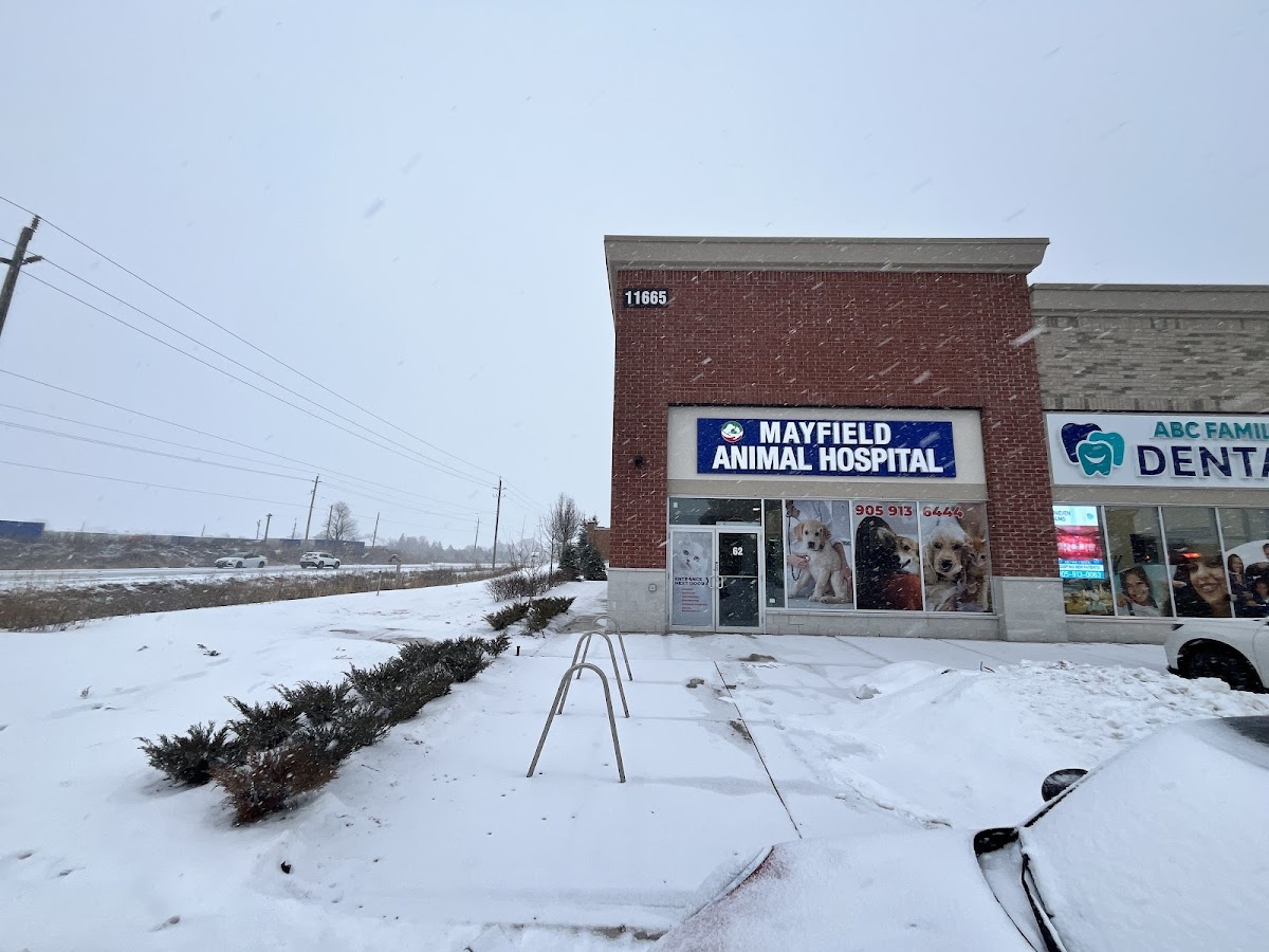 Mayfield Animal Hospital