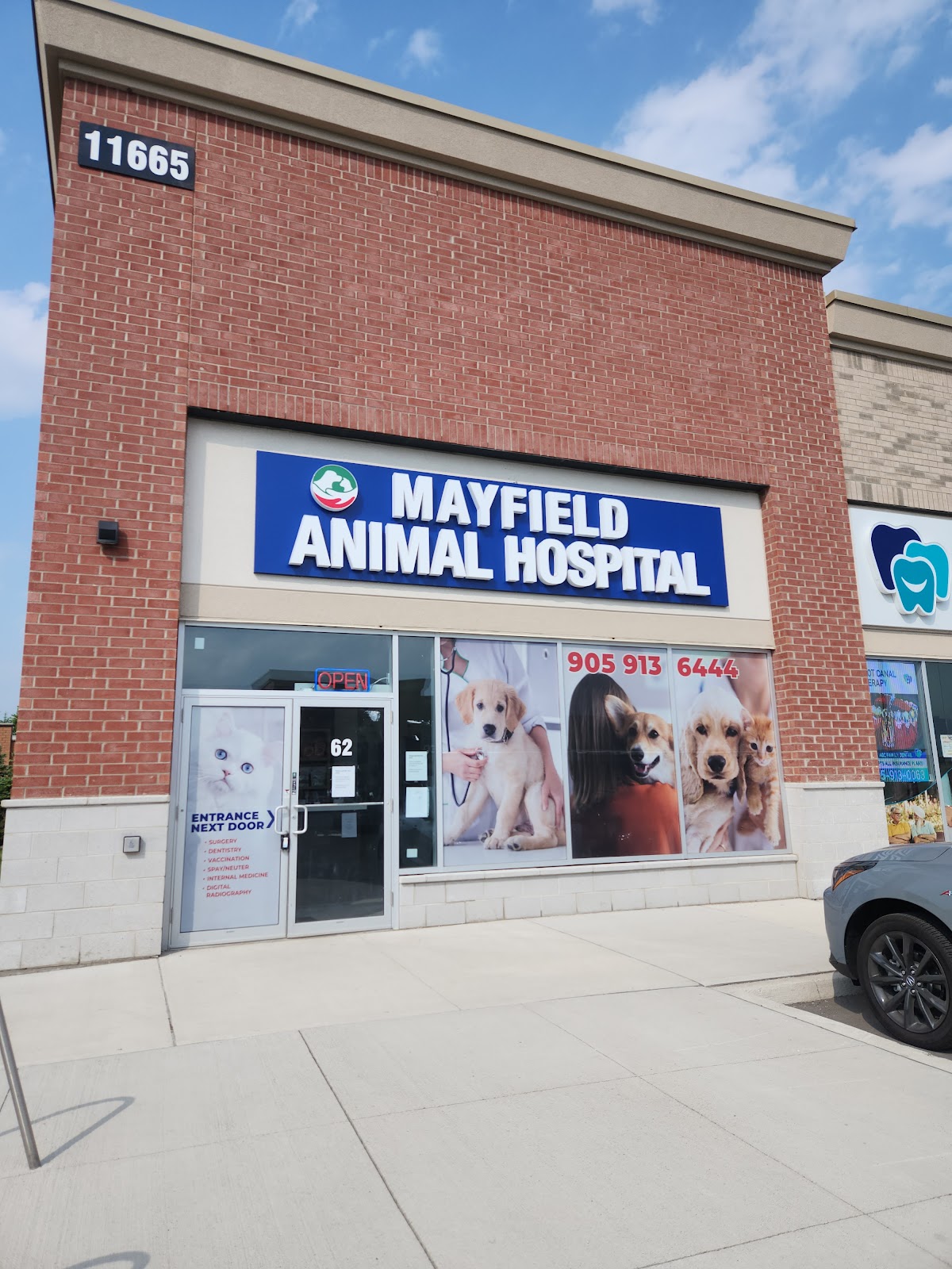 Inside Mayfield Animal Hospital