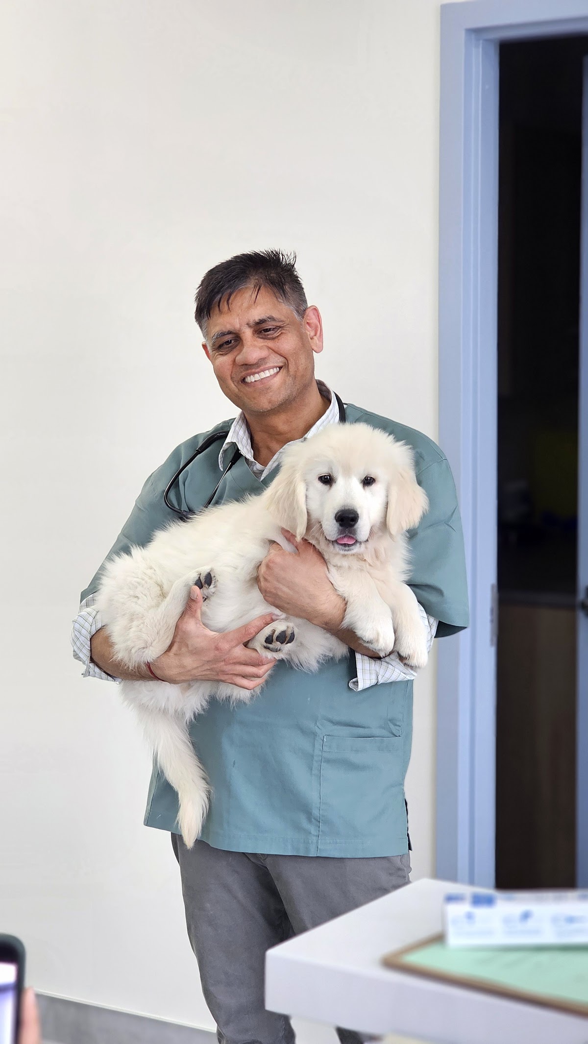 Mayfield Animal Hospital