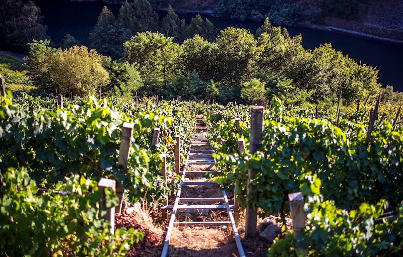 Alma Das Donas photo 5