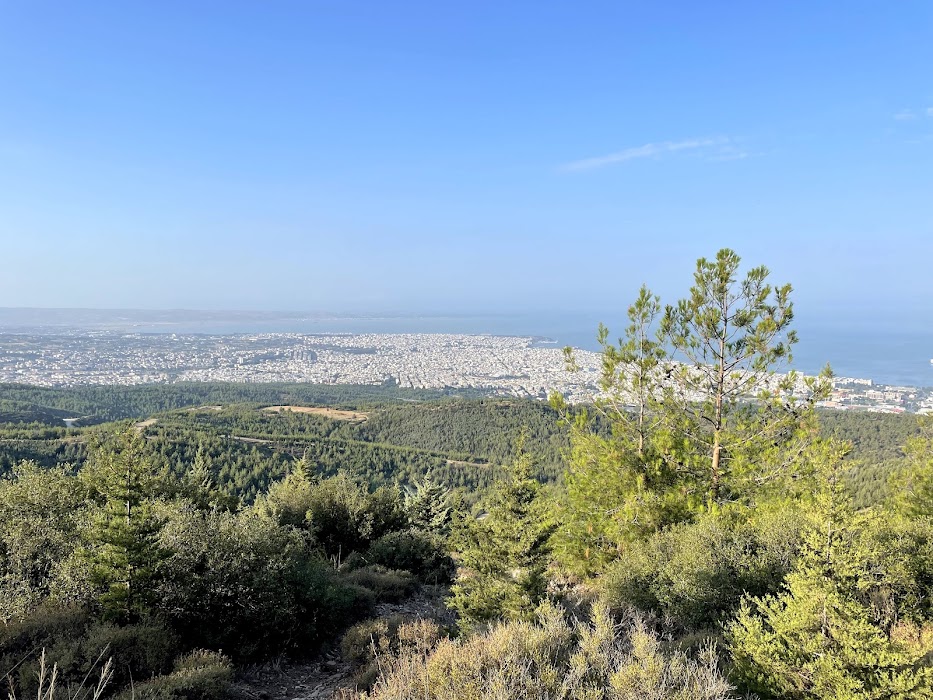 Seyh Su fotoğraf 1