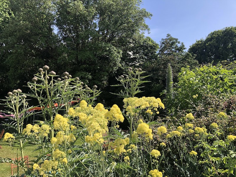 Secret Garden